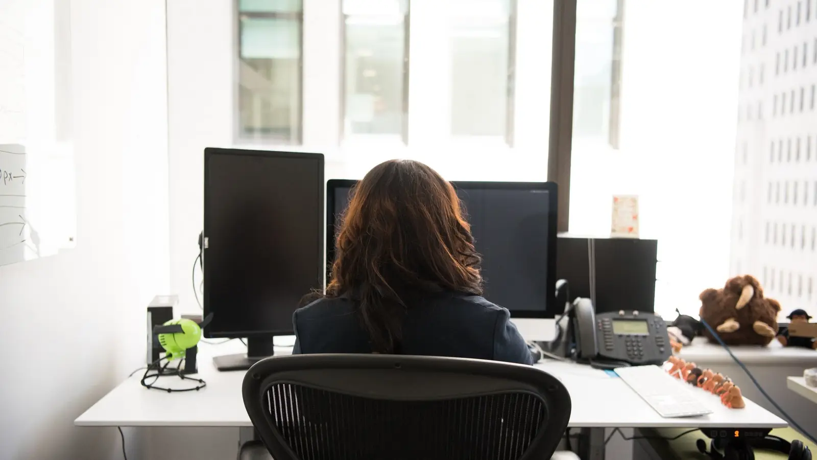 A person working at an office desk seen from behind